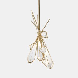 Harlow Dried Flowers Chandelier | Suspended lights | Gabriel Scott
