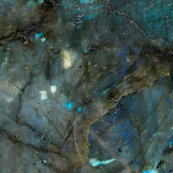 Stardust | Wall art / Murals | TECNOGRAFICA