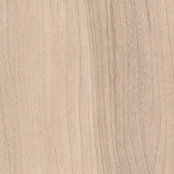 Baron Elm | Wood panels | Pfleiderer