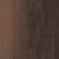 Level Set Natural Woodgrains A00201 Black Walnut | Synthetic tiles | Interface