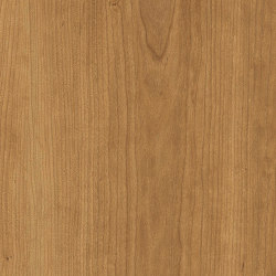 Level Set Natural Woodgrains A00210 Teak | Synthetic tiles | Interface
