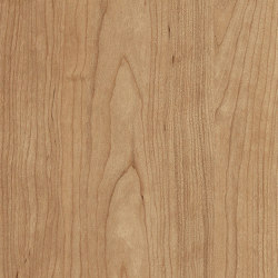 Level Set Natural Woodgrains A00212 Cedar | Kunststoff Fliesen | Interface