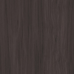 Level Set Natural Woodgrains A00213 Black | Kunststoff Fliesen | Interface