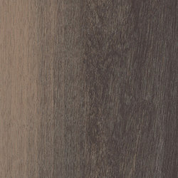 Level Set Textured Woodgrains A00413 Anodized Ash | Synthetic tiles | Interface