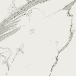 Prestigio Statuario |  | Refin