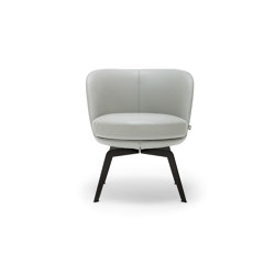 Rolf Benz 562 | Fauteuils | Rolf Benz