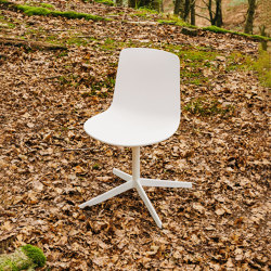 Lottus confident chair | Chairs | ENEA