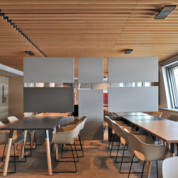 Stereo acoustic panels suspended | Acoustic ceiling systems | Texaa®