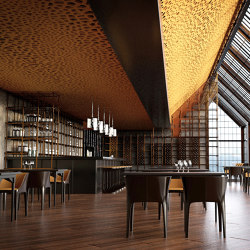 recycled greenPET | designed acoustic voronoi ceiling |  | SPÄH designed acoustic