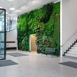 Indoor Vertical Garden | Biomedicum | Wall decoration | Greenworks