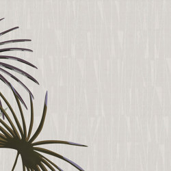 Lotus Esprit Wallpapers  Top Free Lotus Esprit Backgrounds   WallpaperAccess