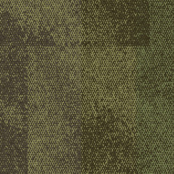 Exposed Vertex | Carpet tiles | Interface USA