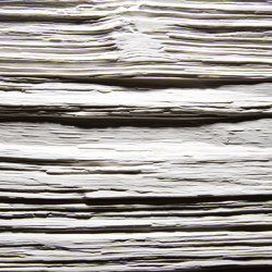 Spalt Alpi White | Wood veneers | VD Werkstätten