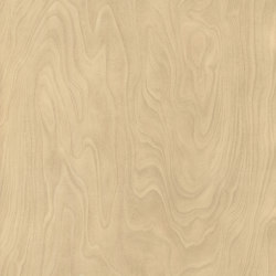 wineo PURline® Roll | Floating Wood Sand | Suelos de goma | Mats Inc.