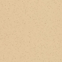wineo PURline® Roll | Sinai Sand Stars