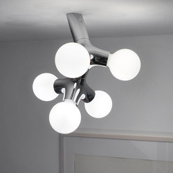 DNA wall / ceiling double | Ceiling lights | next