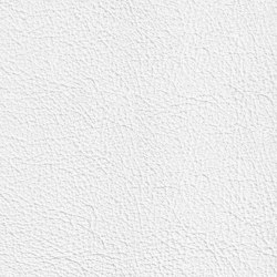 BARON 19110 Everest | Colour white | BOXMARK Leather GmbH & Co KG