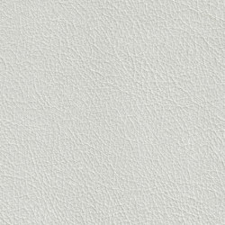 BARON 19126 Uyuni | Colour grey | BOXMARK Leather GmbH & Co KG