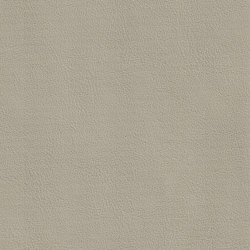 DUKE 15512 Pelican | Colour grey | BOXMARK Leather GmbH & Co KG