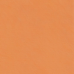 DUKE 25512 Rooster | Colour orange | BOXMARK Leather GmbH & Co KG