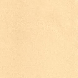 DUKE 25701 Pipit | Colour beige | BOXMARK Leather GmbH & Co KG
