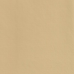DUKE 25703 Woodcock | Colour beige | BOXMARK Leather GmbH & Co KG