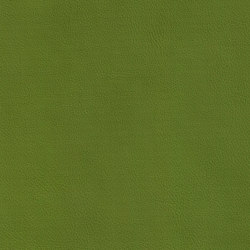 DUKE 65511 Parakeet | Colour green | BOXMARK Leather GmbH & Co KG