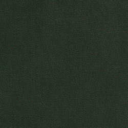 DUKE 65513 Kea | Colour green | BOXMARK Leather GmbH & Co KG