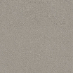 DUKE 75515 Kookaburra | Colour grey | BOXMARK Leather GmbH & Co KG