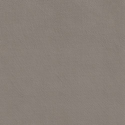 DUKE 75517 Egret | Colour grey | BOXMARK Leather GmbH & Co KG