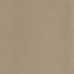 DUKE 75740 Fieldfare | Colour beige | BOXMARK Leather GmbH & Co KG