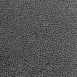 EMOTIONS Dollaro America | Colour grey | BOXMARK Leather GmbH & Co KG