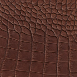 EMOTIONS Dorset | Colour brown | BOXMARK Leather GmbH & Co KG