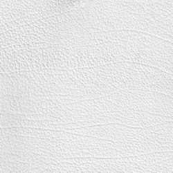 EMOTIONS Paolo | Colour white | BOXMARK Leather GmbH & Co KG