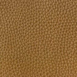 EMOTIONS Savana | Colour brown | BOXMARK Leather GmbH & Co KG