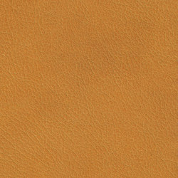 X Green 27510 Tiger Lilli | Colour orange | BOXMARK Leather GmbH & Co KG