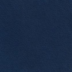 X Green 57575 Lupine | Colour blue | BOXMARK Leather GmbH & Co KG