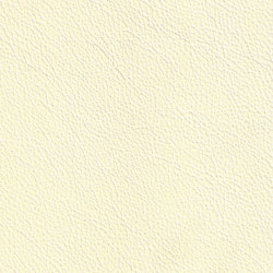 XTREME EMBOSSED 19124 Mahe | Colour yellow | BOXMARK Leather GmbH & Co KG