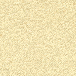 XTREME GEPRÄGT 19161 Kos | Colour yellow | BOXMARK Leather GmbH & Co KG