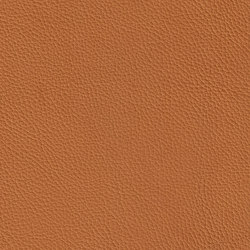 XTREME EMBOSSED 29110 Togian | Colour brown | BOXMARK Leather GmbH & Co KG