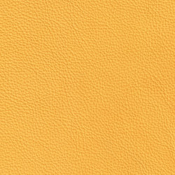 XTREME EMBOSSED 29176 Hawaii | Colour yellow | BOXMARK Leather GmbH & Co KG