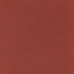XTREME EMBOSSED 39113 Lapang | Colour red | BOXMARK Leather GmbH & Co KG
