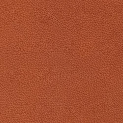 XTREME GEPRÄGT 39175 Landu | Natural leather | BOXMARK Leather GmbH & Co KG