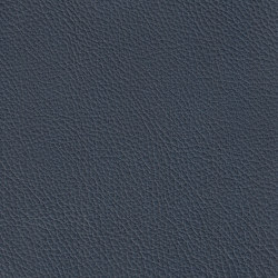 XTREME EMBOSSED 59121 Bepondi | Colour blue | BOXMARK Leather GmbH & Co KG