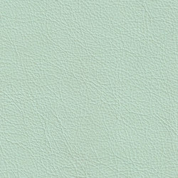 XTREME EMBOSSED 59130 Barbados | Colour green | BOXMARK Leather GmbH & Co KG