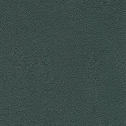 XTREME EMBOSSED 69118 Orsay