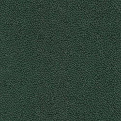 XTREME GEPRÄGT 69119 Canna | Colour green | BOXMARK Leather GmbH & Co KG