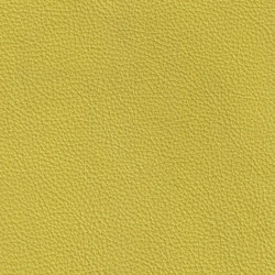 XTREME GEPRÄGT 69200 Maldives | Natural leather | BOXMARK Leather GmbH & Co KG