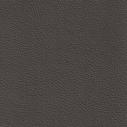 XTREME EMBOSSED 79164 Lanzarote | Colour grey | BOXMARK Leather GmbH & Co KG