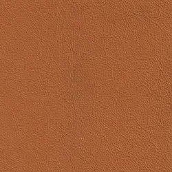 XTREME EMBOSSED 89111 Manda | Colour brown | BOXMARK Leather GmbH & Co KG